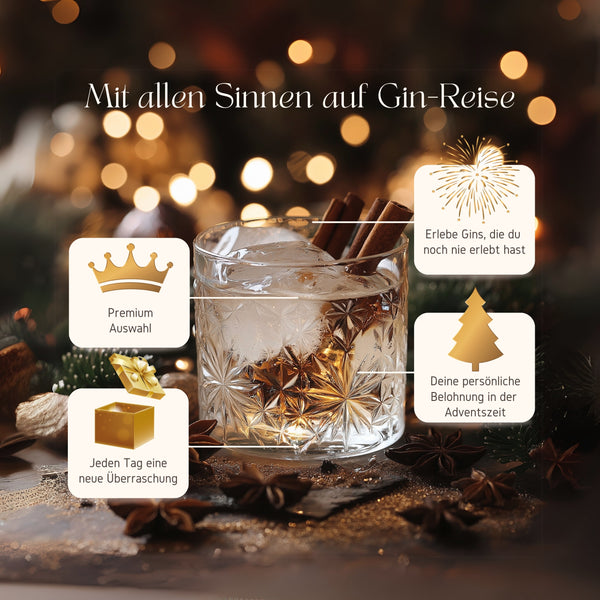 V-SINNE Gin Adventskalender - 24 Gins