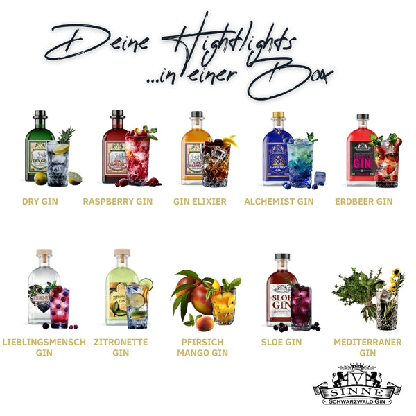 V-SINNE Gin Tasting Box - 10 Sorten
