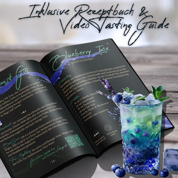 V-SINNE Gin Tasting Box - 10 Sorten