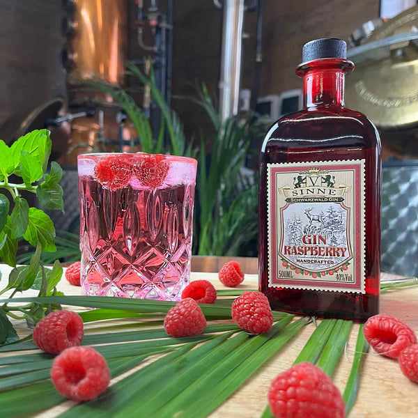 V-SINNE Raspberry Gin 500 ml