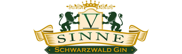 V-SINNE