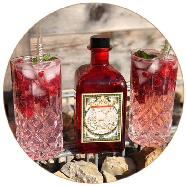 6x200 ml Goldberg Indian Hibiscus Tonic Water