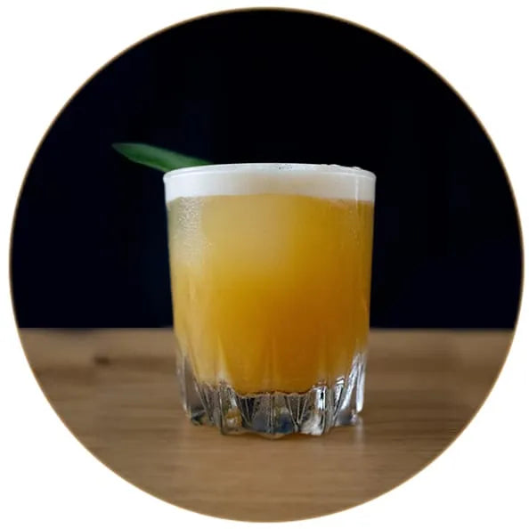 V-SINNE Gin Fizz Rezept