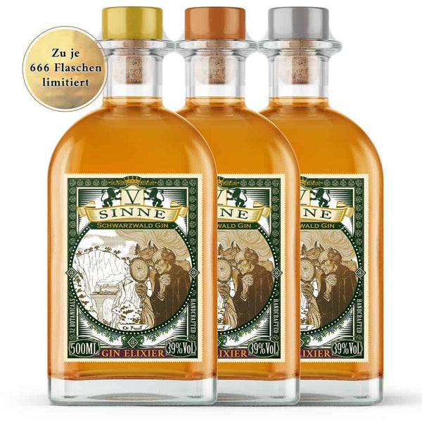 V-SINNE Gin | Gin Elixier | 500ml | 39% vol.