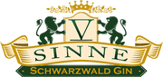 V-SINNE