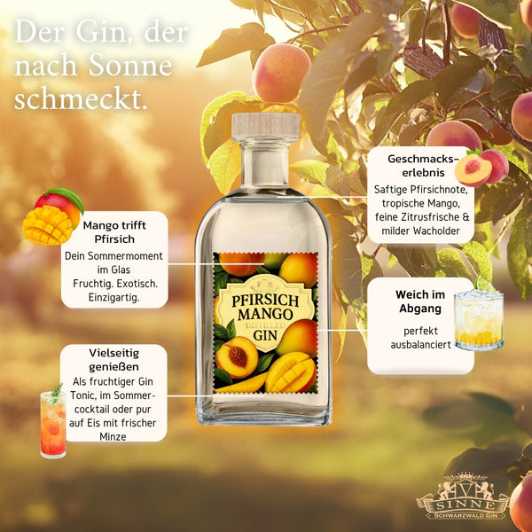 V-SINNE Pfirsich Mango Gin 500ml 40% vol.