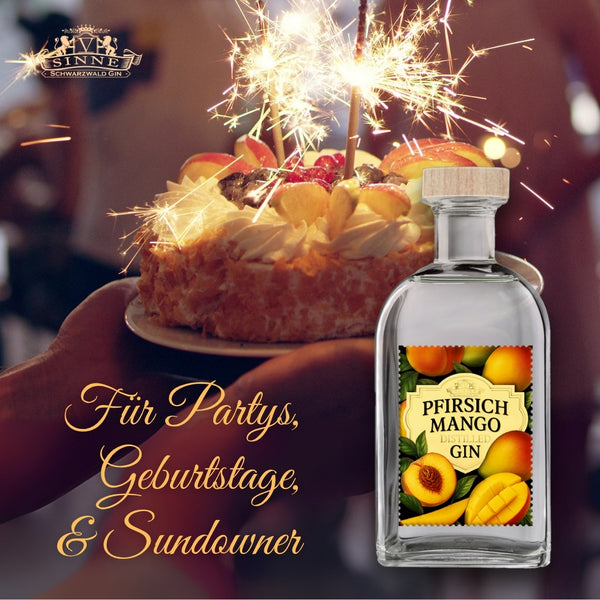 V-SINNE Pfirsich Mango Gin 500ml 40% vol.