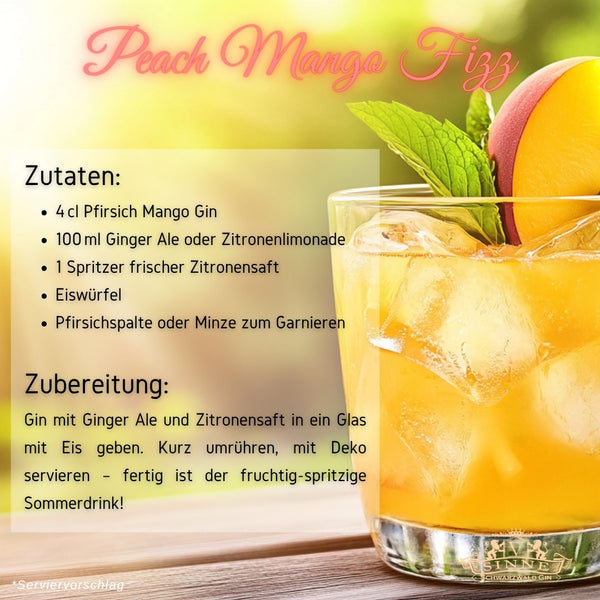 V-SINNE Pfirsich Mango Gin 500ml 40% vol.