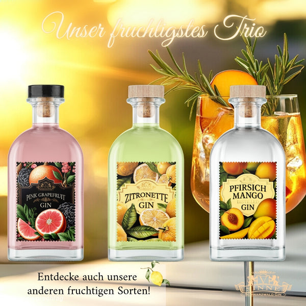 V-SINNE Pfirsich Mango Gin 500ml 40% vol.
