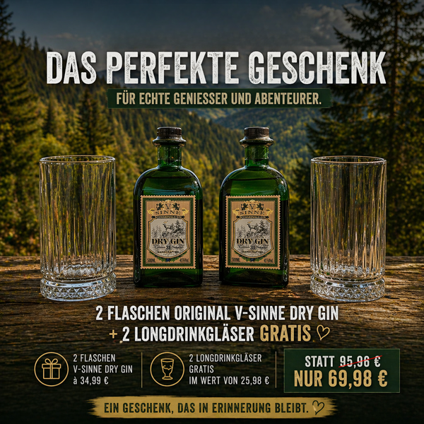 Bundle: 2 x V-SINNE Schwarzwald Dry Gin 45% vol. 500ml + 2 Gläser gratis