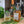 V-SINNE Gin | Gin Elixier | 500ml | 39% vol.