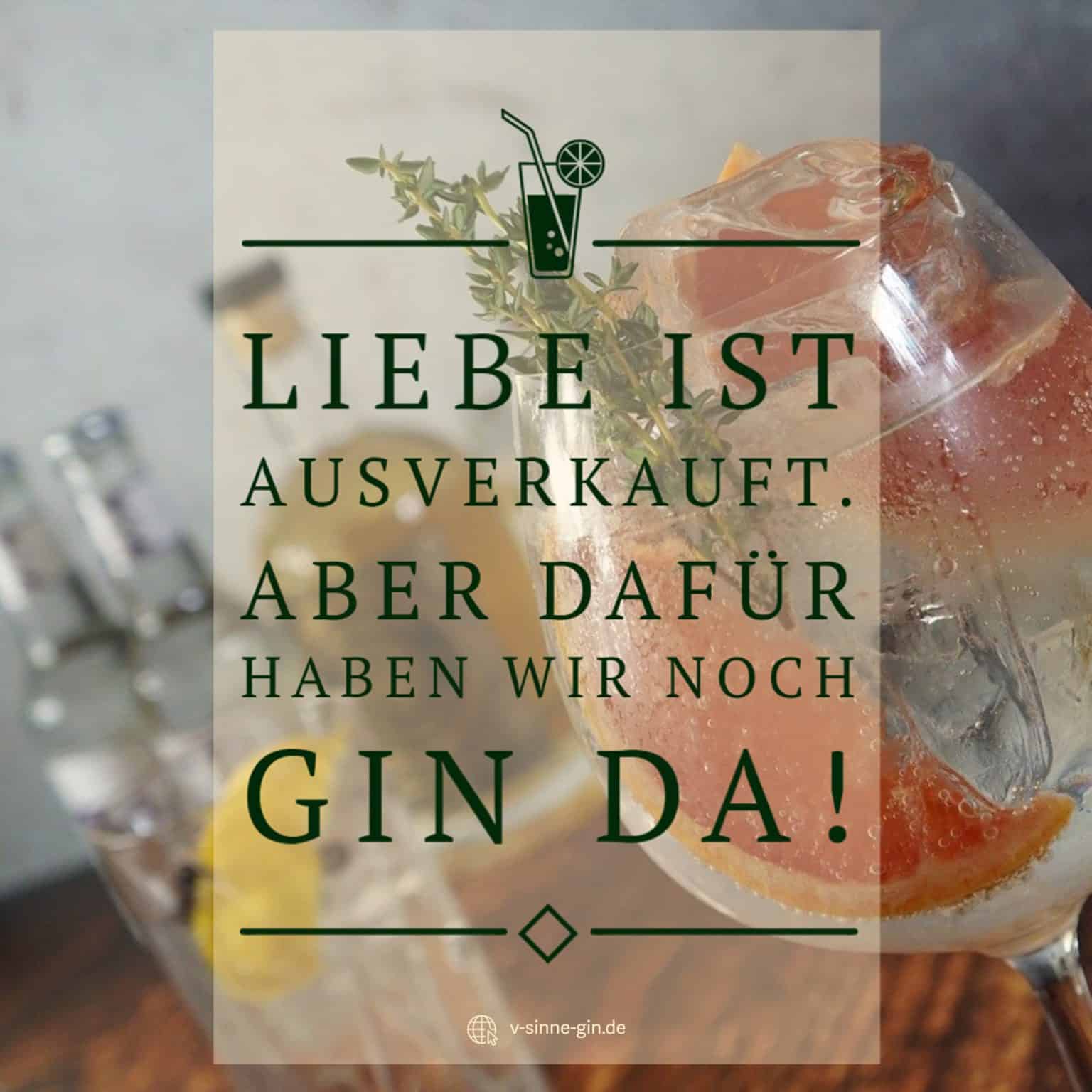 29+ lustige Gin Sprüche und Wortspiele mit Bild Jetzt ansehen VSINNE