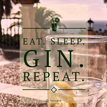 29+ lustige Gin Sprüche und Wortspiele mit Bild | Jetzt ansehen – V-SINNE