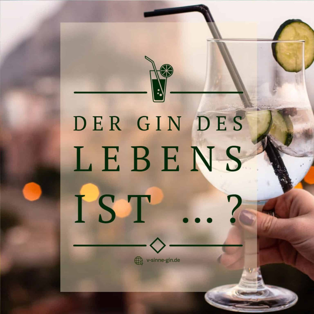 29+ lustige Gin Sprüche und Wortspiele mit Bild Jetzt ansehen VSINNE