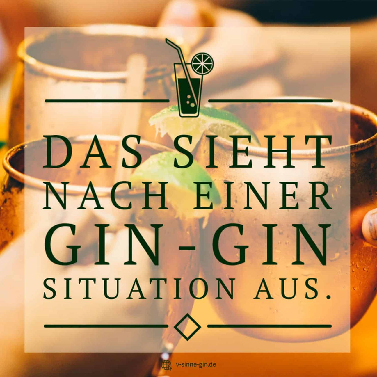 29+ lustige Gin Sprüche und Wortspiele mit Bild Jetzt ansehen VSINNE