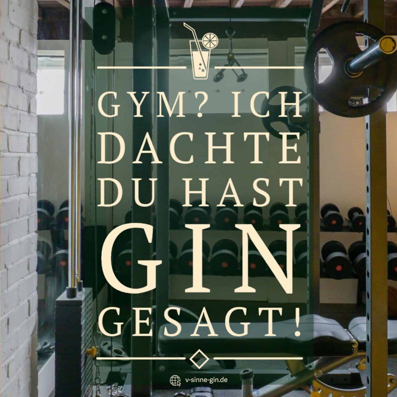 29+ lustige Gin Sprüche und Wortspiele mit Bild Jetzt ansehen VSINNE