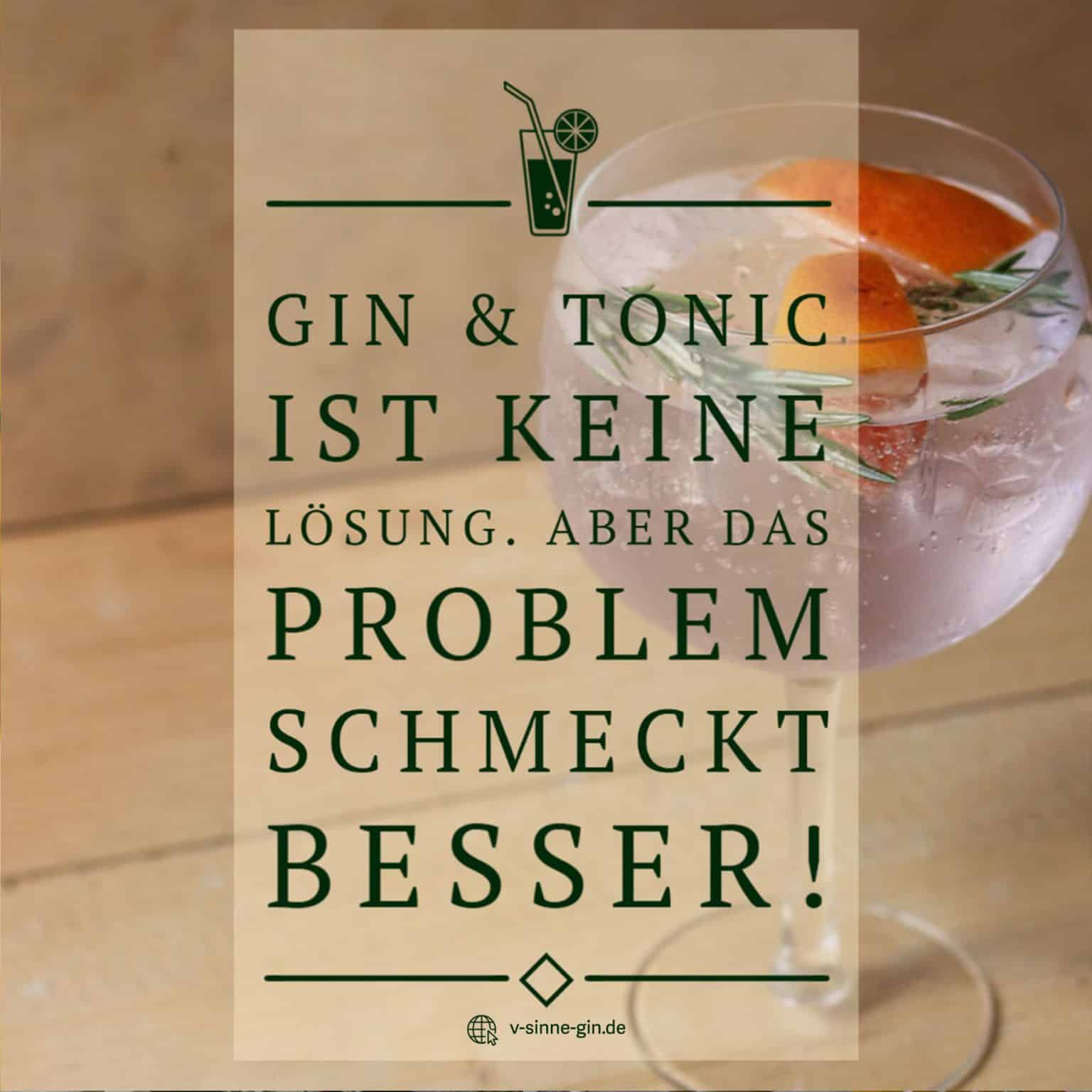 29+ lustige Gin Sprüche und Wortspiele mit Bild Jetzt ansehen VSINNE