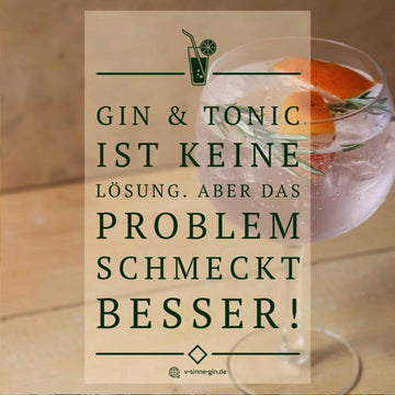 29+ lustige Gin Sprüche und Wortspiele mit Bild Jetzt ansehen – V-SINNE