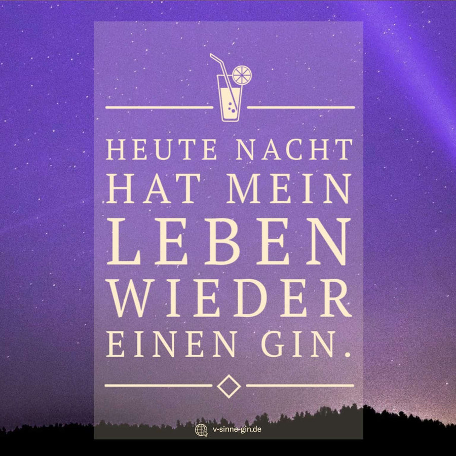 29+ lustige Gin Sprüche und Wortspiele mit Bild Jetzt ansehen VSINNE