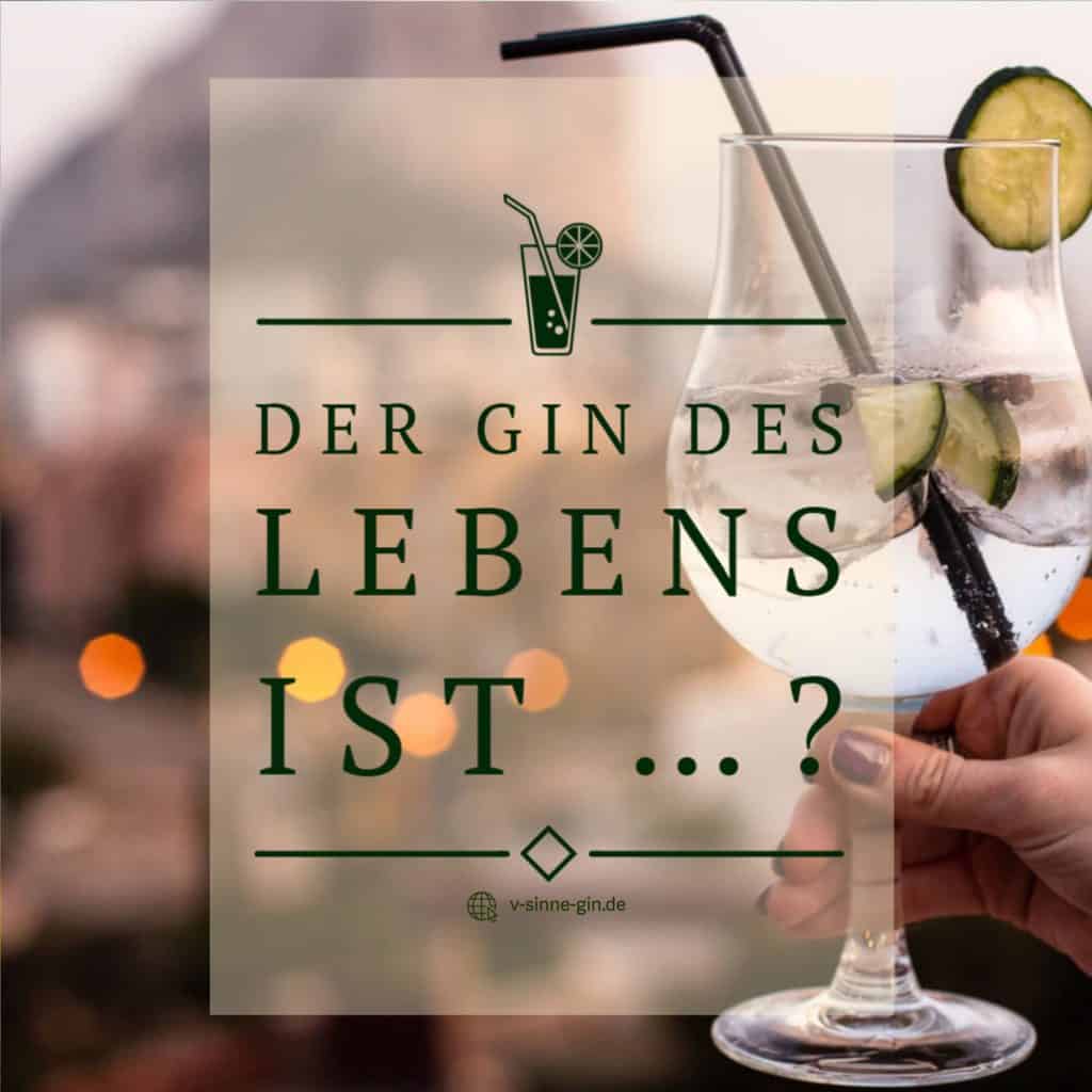 45+ Lustige sprueche ueber gin information